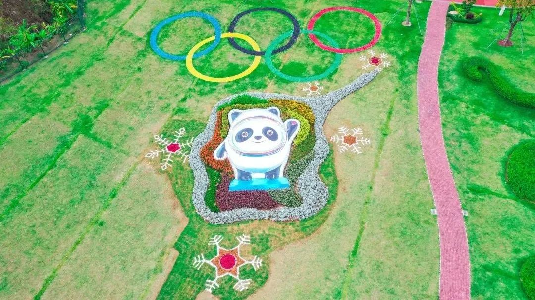 圖片